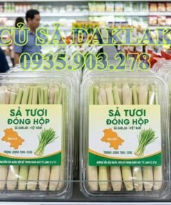 Ban Cu Sa Tuoi Daklak Hang Loai 1 Kg